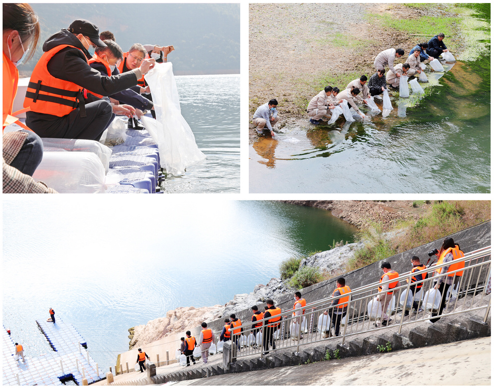 1635412007636052.jpg 放流拼图33.jpg